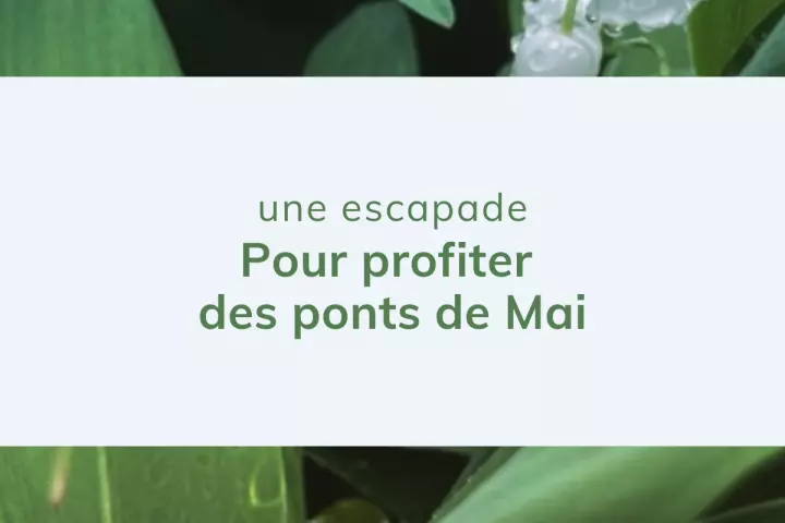 Ponts de mai  -  Gîtes de France® Sud