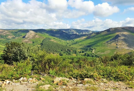 À Avène, en Haut Languedoc