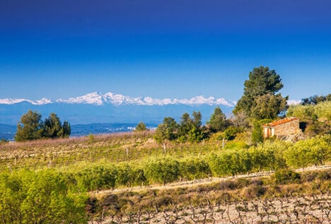 À Saint Chinian, en Haute Vallée de l'Orb