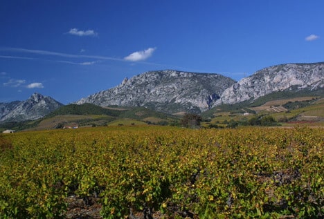 À Maury, vallée de l’Agly et Fenouillèdes